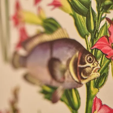 アパート Seeappartements Eden