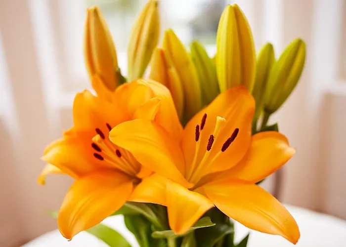 Seeappartements Eden * Pörtschach am Wörthersee